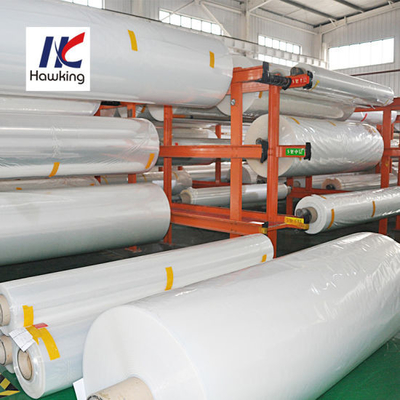 Food Grade Soft PP PE Thermoform Extruction Casing Film