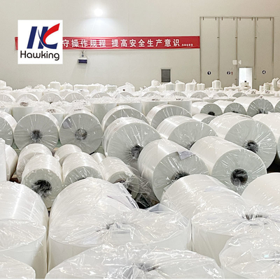 Primary Colour Co Extruded Film Bag For Sausage Vacuum Packaging Thermoforming